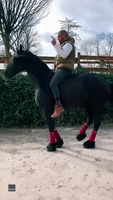 Horse Performs Dance Routine With Dressage Trainer