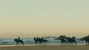 Galego GIF by Vivamos como galegos