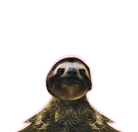 Alpha Sloth Sticker by Gravitas Ventures