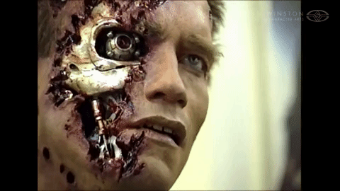 arnold schwarzenegger terminator GIF