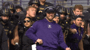 Celebrate Lets Go GIF by Northwestern Athletics