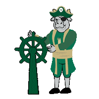 Pirate Usf Sticker by University of South Florida