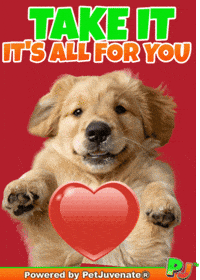 Valentines Day Love GIF by PetJuvenate - PJ