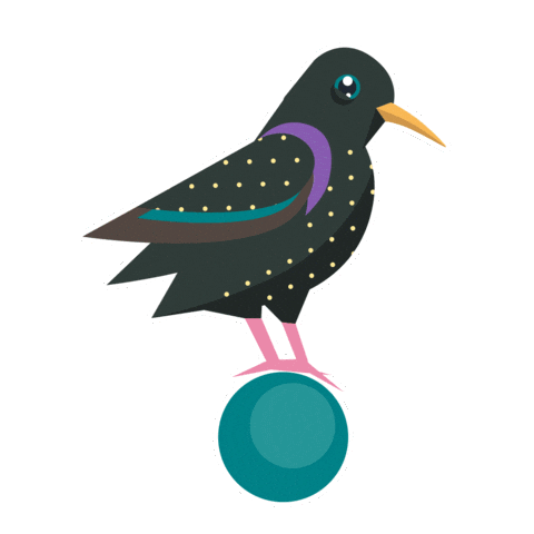 Bird Starling Sticker by RSPB