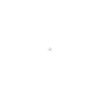 Lily Flower Sticker