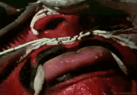 dubstep gifs GIF