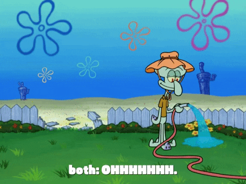 season 7 the curse of bikini bottom GIF by SpongeBob SquarePants