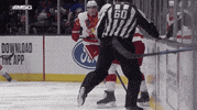 Isles GIF by New York Islanders