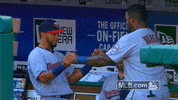 minnesota twins GIF by MLB