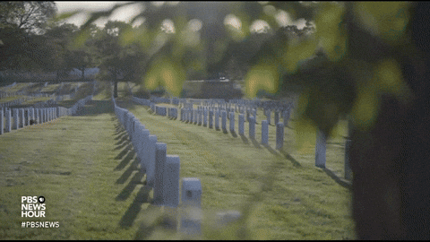United States Usa GIF by PBS NewsHour