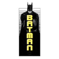 Bruce Wayne Batman Sticker by DC