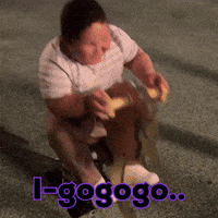 Horse Panda GIF