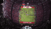 Nc State Wolfpack GIF by NC State Athletics