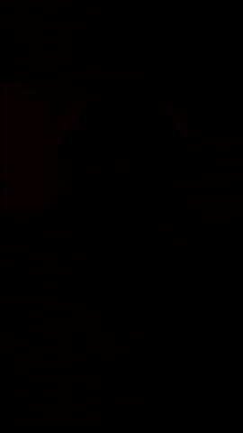 Celiin music horror red artist GIF