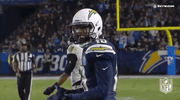 2018 Nfl Football GIF by NFL