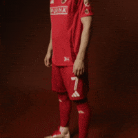 Stlcitysc GIF by St. Louis CITY SC