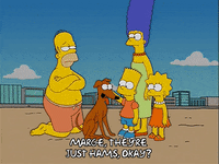 excited homer simpson GIF