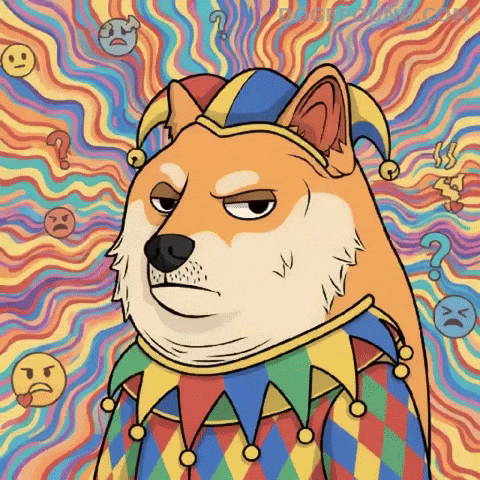 Question Mark Wtf GIF by Doge Pound