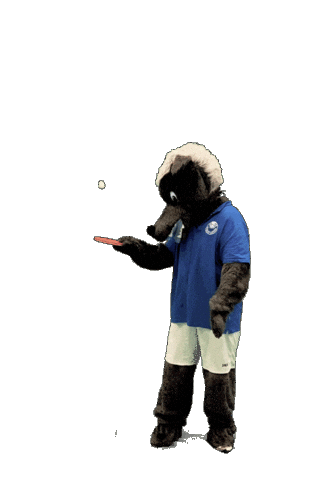Table Tennis Sport Sticker by SuS Stadtlohn 19/20