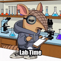 GIF by Chillo Dillo