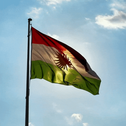 Flag Al GIF