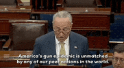 Chuck Schumer GIF by GIPHY News
