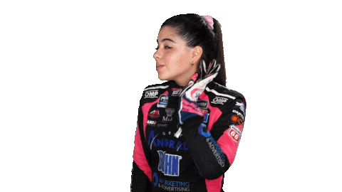 Nascar Pilot Sticker by reginasirvent