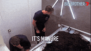 Big Brother GIF by Big Brother Australia