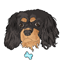 Cavalier King Charles Spaniel Doge Sticker