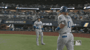 Major League Baseball Sport GIF by MLB