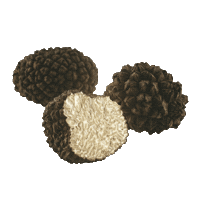 Tryffel Sticker by Werners Gourmetservice AB