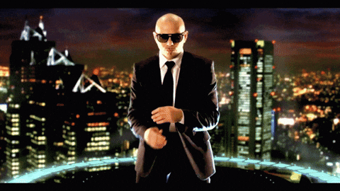 pitbull