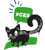 cat graffiti Sticker