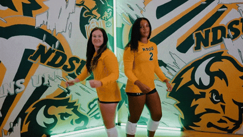 Volleyball Bison GIF by NDSU Athletics
