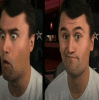 Pattern Recognition Flight GIF