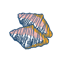 Croissant Sticker by Amity Coffee Co