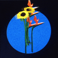 Whats Up Love GIF by Stefanie Franciotti