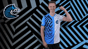 Sport GIF by BS+COMPETITION