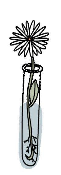 Flor Nurse Sticker