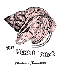 Hermit Crab Sticker by Doubleday Books