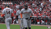 Lets Go Baseball GIF by San Francisco Giants