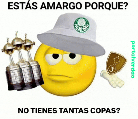 Libertadores GIF
