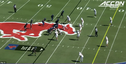 canesport giphyupload GIF