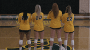 Volleyball Bison GIF by NDSU Athletics