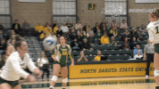 north dakota state bison GIF by NDSU Athletics