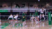 Volleyball Bison GIF by NDSU Athletics