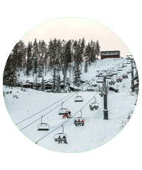 Визитроссия Sticker by kchr
