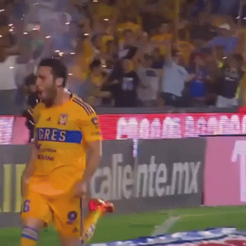 Liga Mx Tigresmx GIF