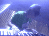 prince GIF