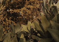 Control GIF by Winona Oak